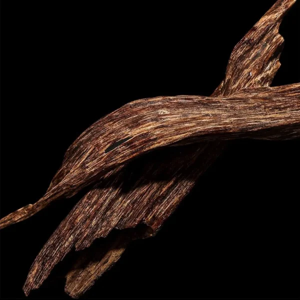 Close-up of natural agarwood grain on a black background