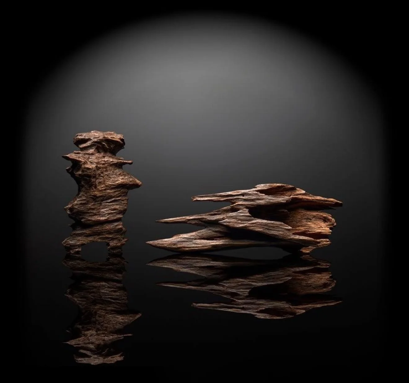Two natural agarwood pieces reflected on a dark surface