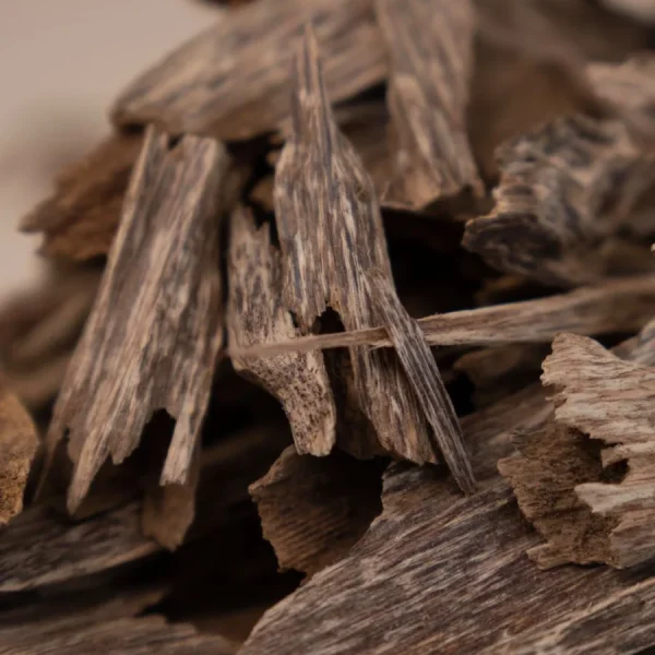 Close-up of natural oud wood chips