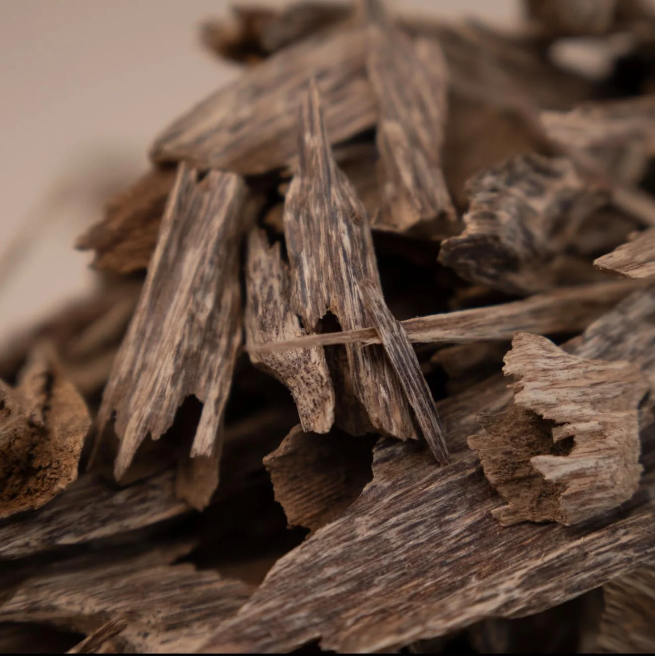 Close-up of natural oud chips